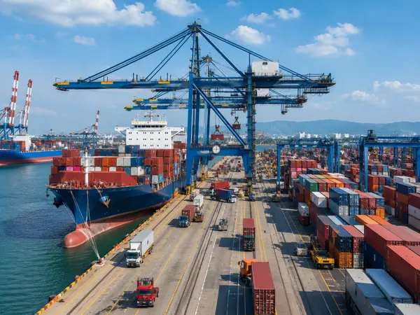Import and Export Industry